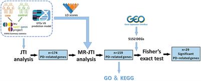 Joint-tissue integrative analysis identifies high-risk genes for Parkinson’s disease